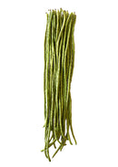 Chinese Yard Long Bean