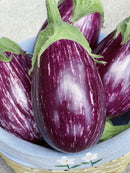Indian darpan eggplants