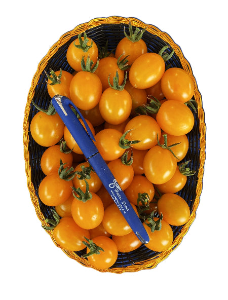 garden pearl tomato seeds Tomato Seeds| #TM1767-Honey Pearl F1 (金蜜珠樱桃番茄 种子) Packet