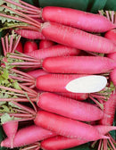 Chinese red skin radish with white flesh