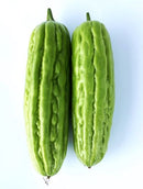OP Bitter Melon