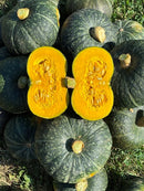 winter squash kaboch