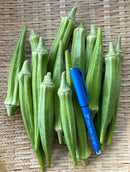 Okra Clemson Spineless 80