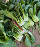 Green Pak Choy