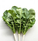 Leaf Radish