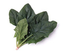 Japanese spinach