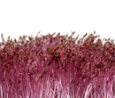 #AM1377-Red Garnet