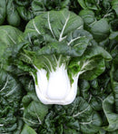A dense cluster of dark green leafy vegetables with prominent white veins and fat petioles.