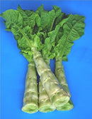 #CT1296-Spring Tower