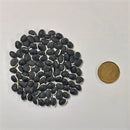 Bean Hyacinth Seeds/ Bian Dou Seeds