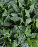 #SP1503-Green Arrows F1