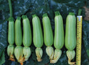 #SS1229-Green Fortune F1