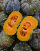 #SW1423-Sweet Splendor F1