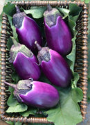 Chinese round eggplant 中国紫圆茄