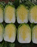 #CC1580-CR Spring Jewel F1