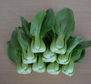 #PG1368-Little Shanghai F1