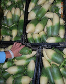 #RA1282-Green Luobo Impr.