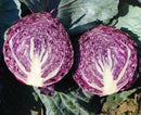 Purple Cabbage
