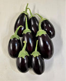 #EP1674-Purple Egg, Improved F1