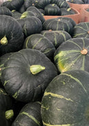 Kabocha Zao Feng hybrid