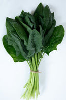 #SP1708-Imperial Valley F1