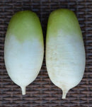 #RA1614-Korean Autumn F1