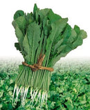 #RA1012-New Green Skirt F1