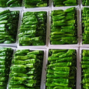 Chinese Cow Horn Pepper