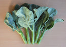 Chinese kale 