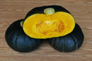 Kabocha Zao Feng hybrid