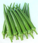 #OK1385-Long Ridged F1