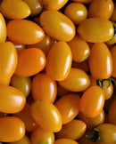 #TM1401-Grape Yellow F1