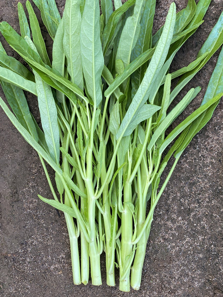 white stem water spinach