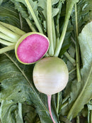 #RA1153-Mantanghong F1