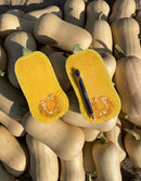 Butternut squash halves with a pen on top, surrounded by whole squash.
