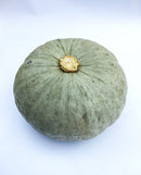 A gray-colored, flat kabocha squash with a smooth surface and a prominent, shiny stem.
