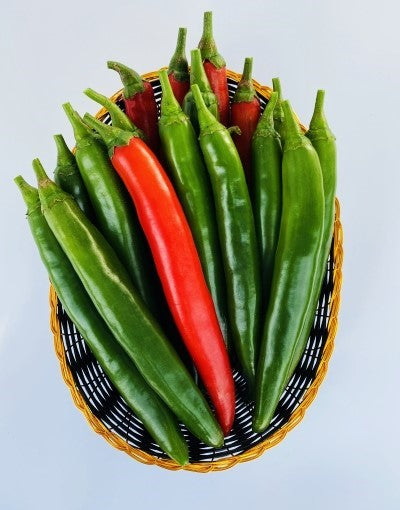 Gochu Korean sweet pepper