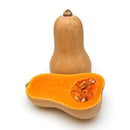 Butternut squash with a cut half on a white background